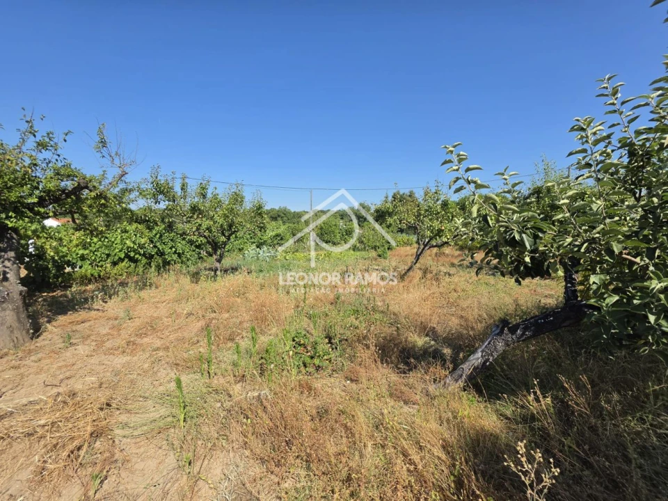 Terreno para Venda em Castelo Branco Foto 3