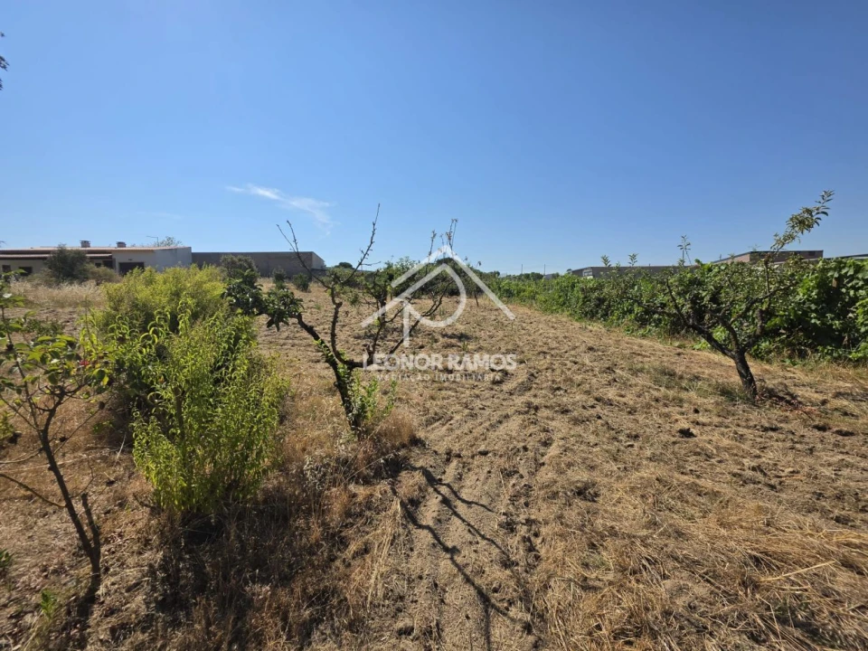 Terreno para Venda em Castelo Branco Foto 8
