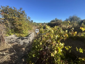 Terreno para Venda em Aldeia do Bispo, Águas e Aldeia de João Pires