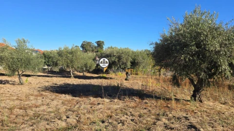 Terreno para Venda em Aldeia do Bispo, Águas e Aldeia de João Pires