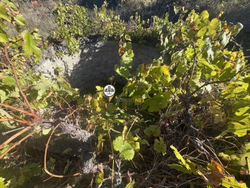 Terreno para Venda em Aldeia do Bispo, Águas e Aldeia de João Pires