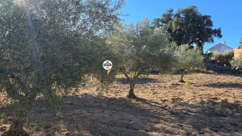 Terreno para Venda em Aldeia do Bispo, Águas e Aldeia de João Pires