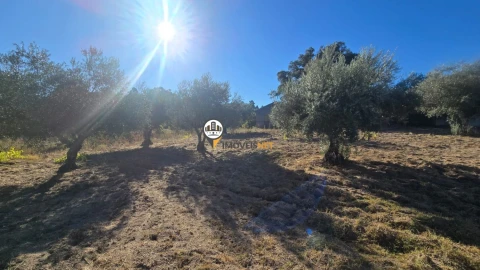 Terreno para Venda em Aldeia do Bispo, Águas e Aldeia de João Pires