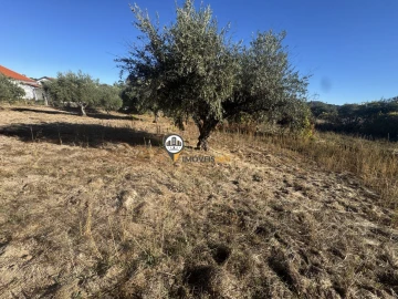 Terreno para Venda em Aldeia do Bispo, Águas e Aldeia de João Pires