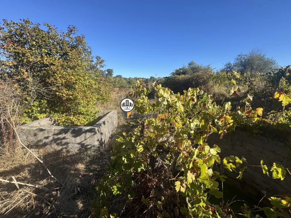 Terreno para Venda em Aldeia do Bispo, Águas e Aldeia de João Pires Foto 3