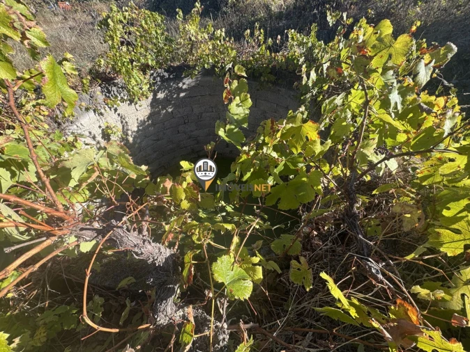 Terreno para Venda em Aldeia do Bispo, Águas e Aldeia de João Pires Foto 5