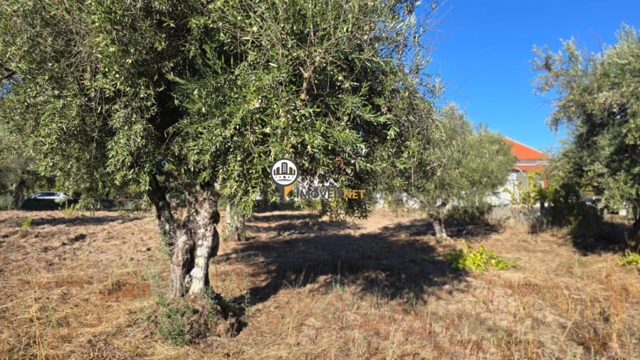 Terreno para Venda em Aldeia do Bispo, Águas e Aldeia de João Pires Foto 21