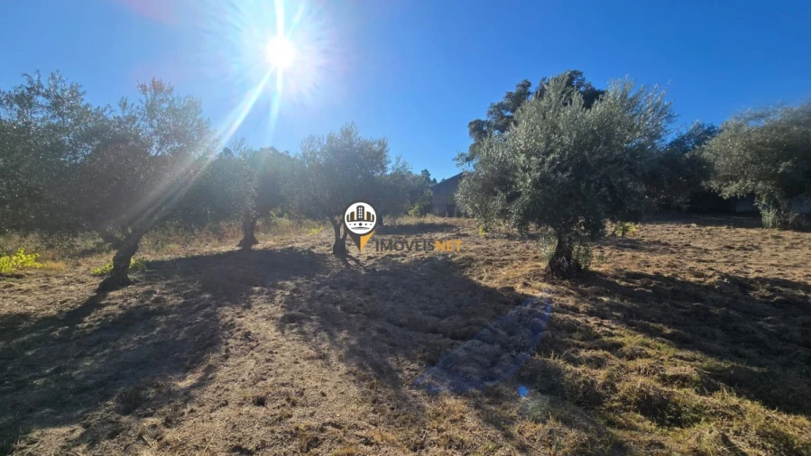 Terreno para Venda em Aldeia do Bispo, Águas e Aldeia de João Pires Foto 20