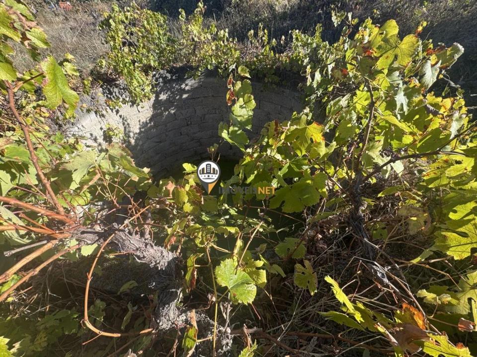 Terreno para Venda em Aldeia do Bispo, Águas e Aldeia de João Pires Foto 5