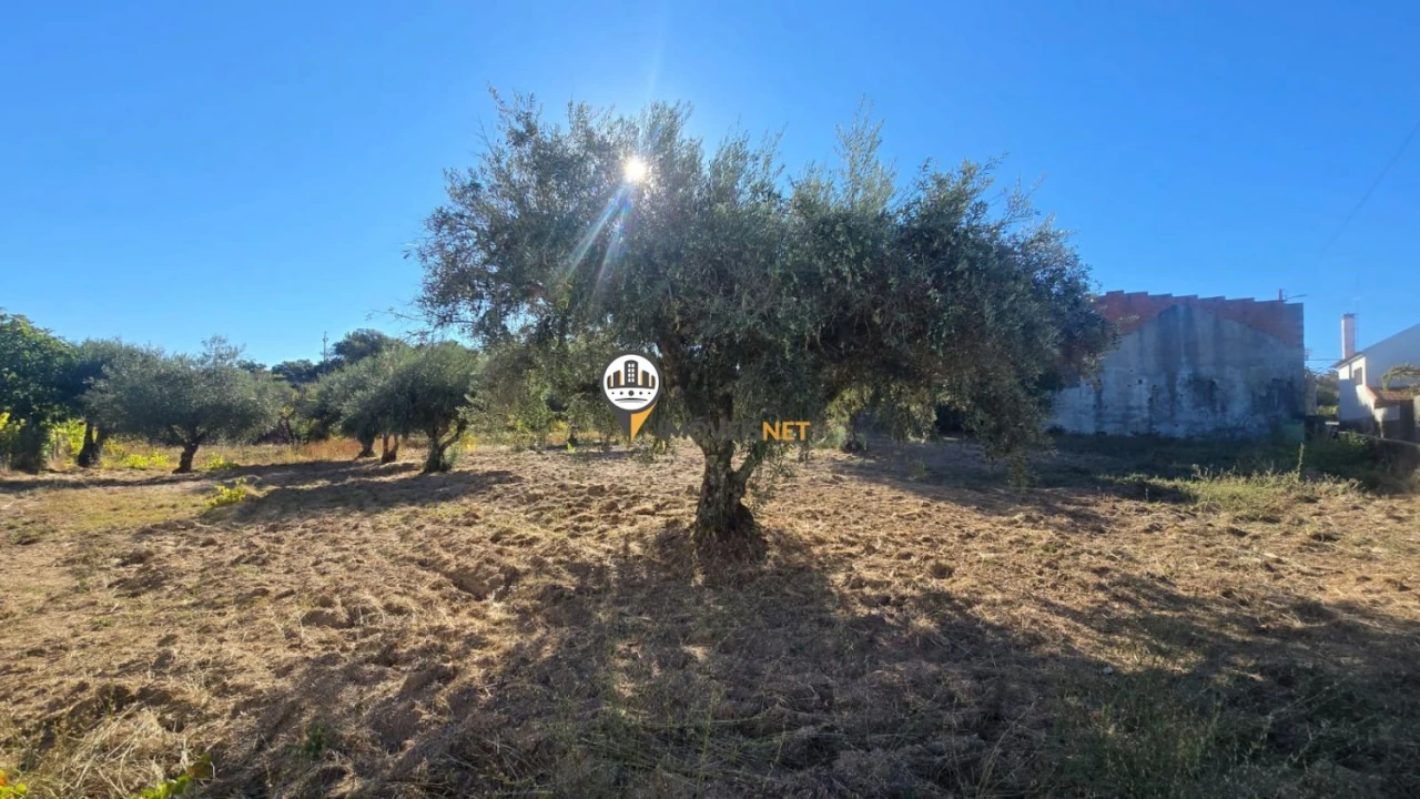 Terreno para Venda em Aldeia do Bispo, Águas e Aldeia de João Pires Foto 16