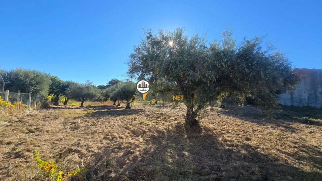 Terreno para Venda em Aldeia do Bispo, Águas e Aldeia de João Pires Foto 18