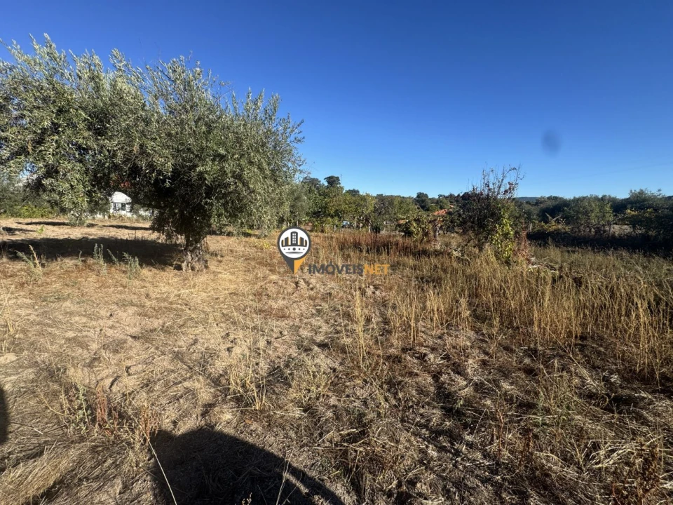 Terreno para Venda em Aldeia do Bispo, Águas e Aldeia de João Pires Foto 8