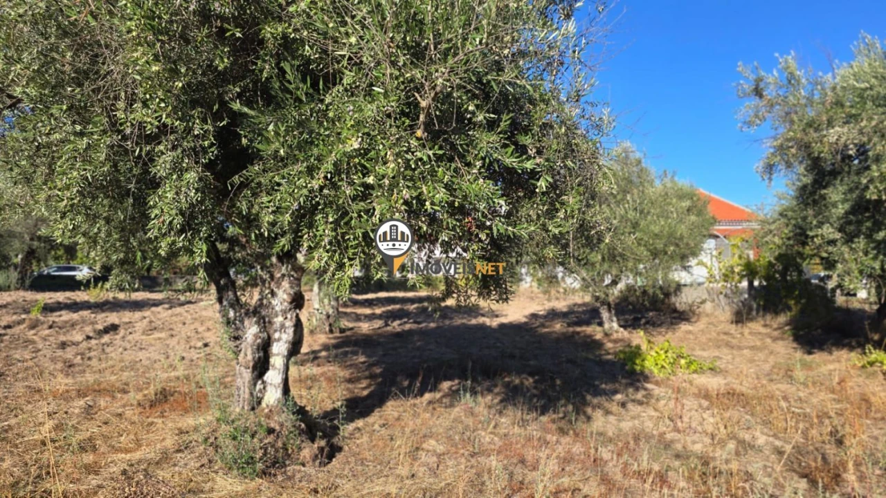Terreno para Venda em Aldeia do Bispo, Águas e Aldeia de João Pires Foto 21