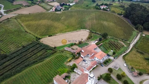 Quinta T10 para Venda em Macieira da Lixa e Caramos