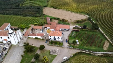 Quinta T10 para Venda em Macieira da Lixa e Caramos
