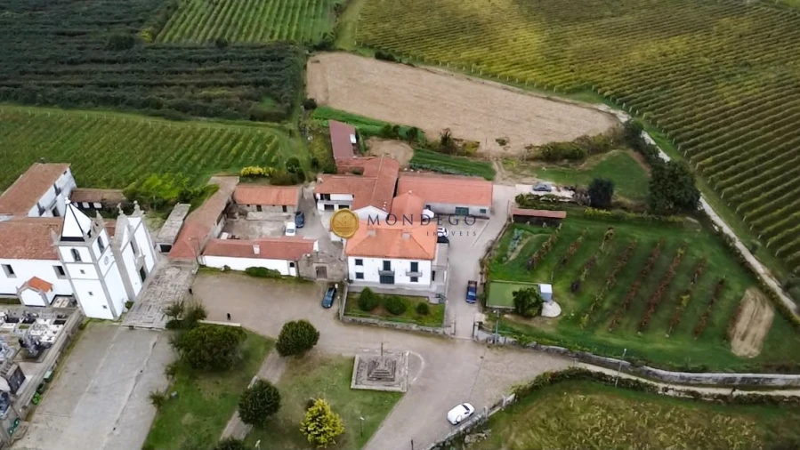 Quinta T10 para Venda em Macieira da Lixa e Caramos Foto 35