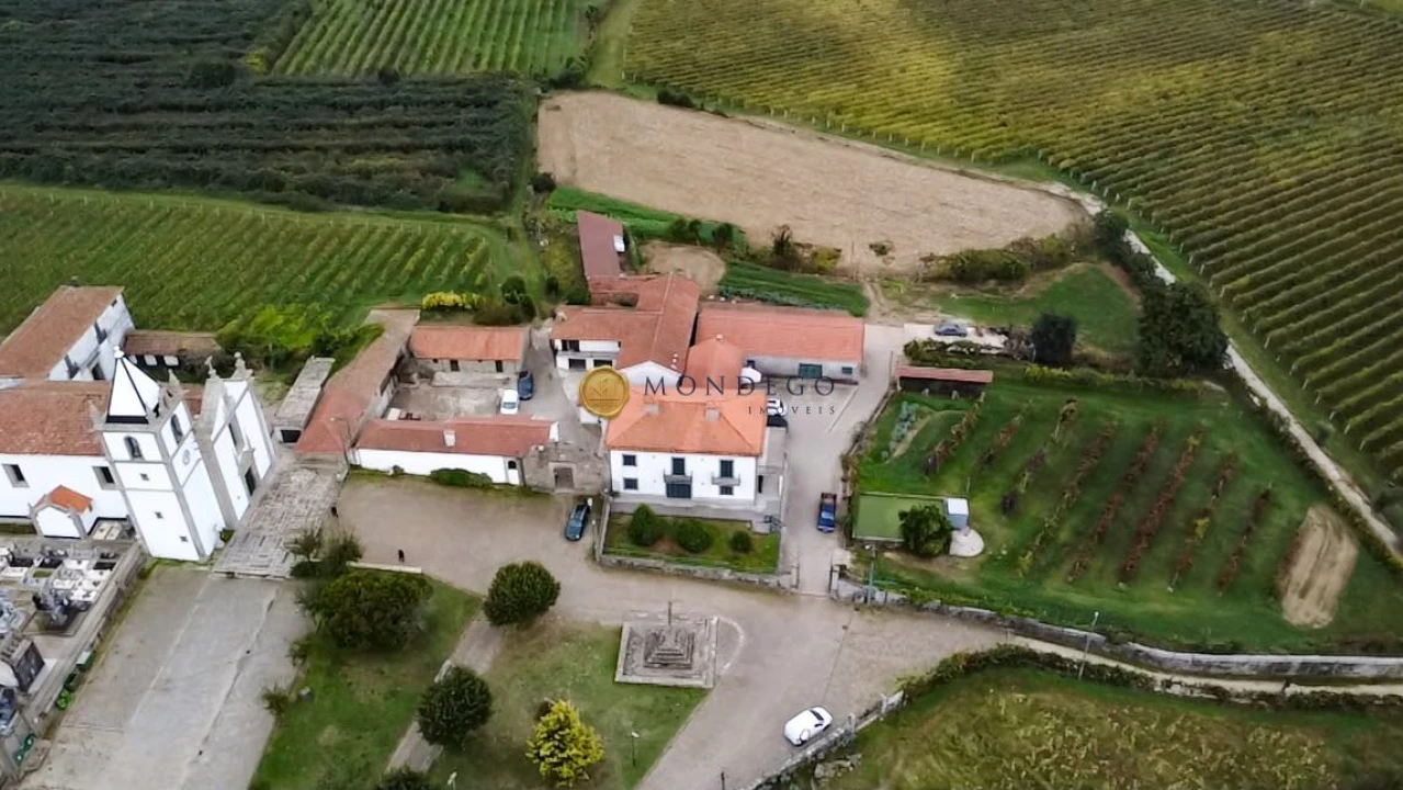 Quinta T10 para Venda em Macieira da Lixa e Caramos Foto 35