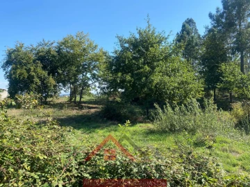 Terreno para Venda em Eiriz