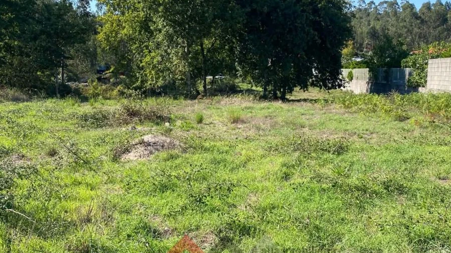 Terreno para Venda em Eiriz