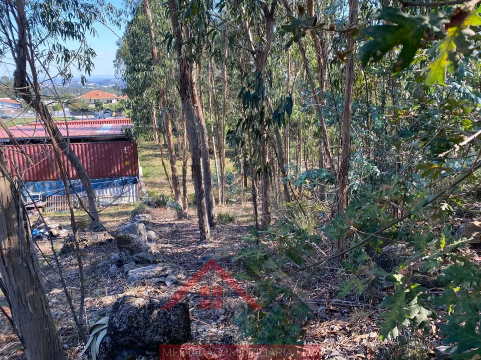 Terreno para Venda em Eiriz Foto 5