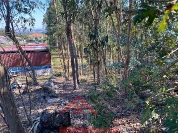 Terreno para Venda em Eiriz