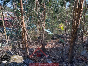 Terreno para Venda em Eiriz
