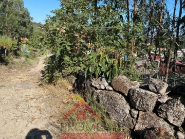 Terreno para Venda em Eiriz