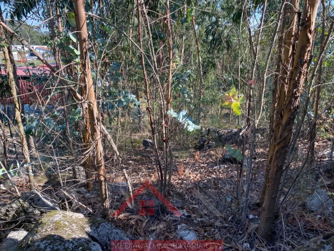 Terreno para Venda em Eiriz Foto 7