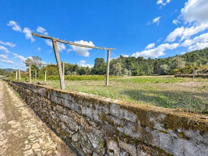 Terreno para Venda em Gemeses Foto 5