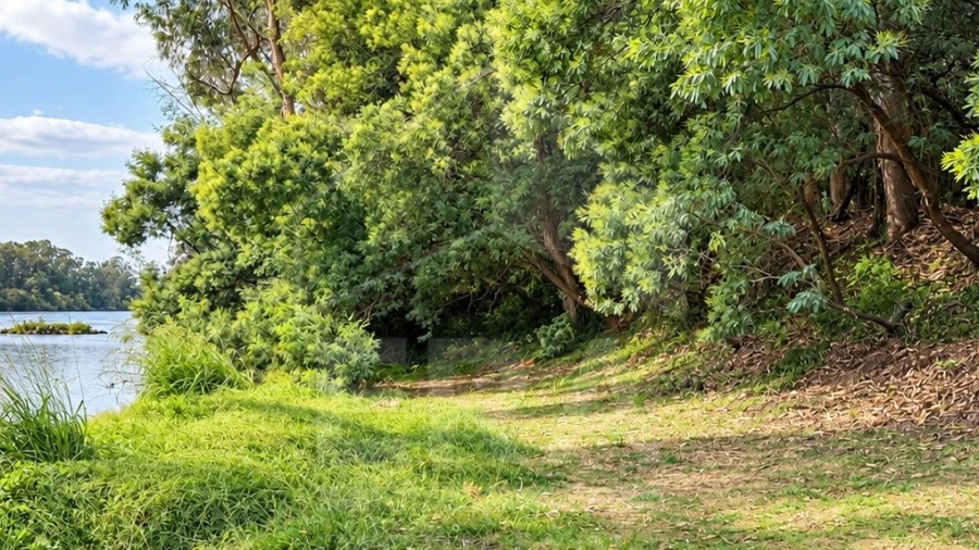 Terreno Agricola ou Rústico para Venda em Gemeses