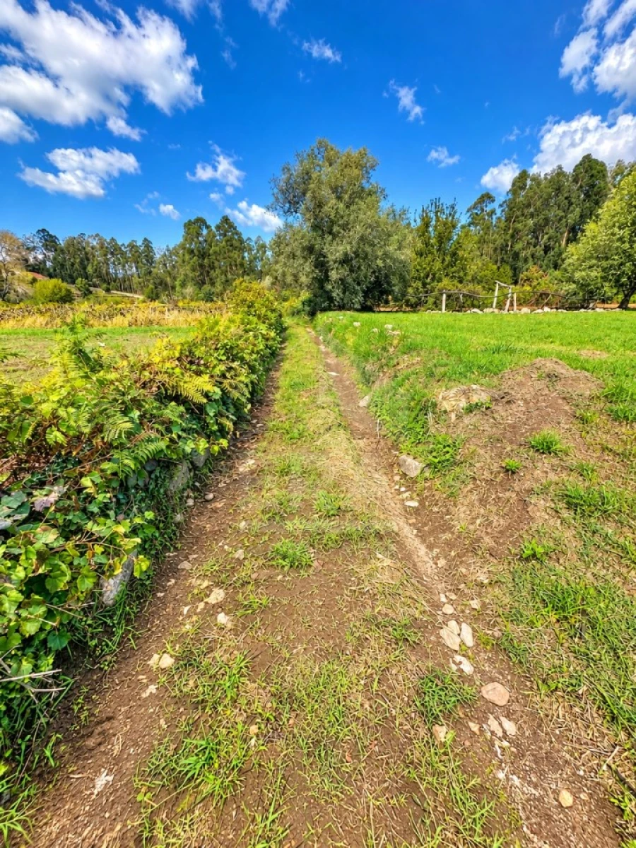 Terreno Agricola ou Rústico para Venda em Gemeses Foto 3