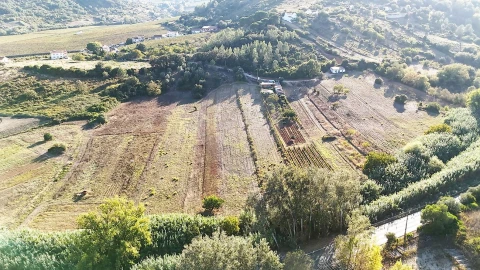 Terreno para Venda em Meca