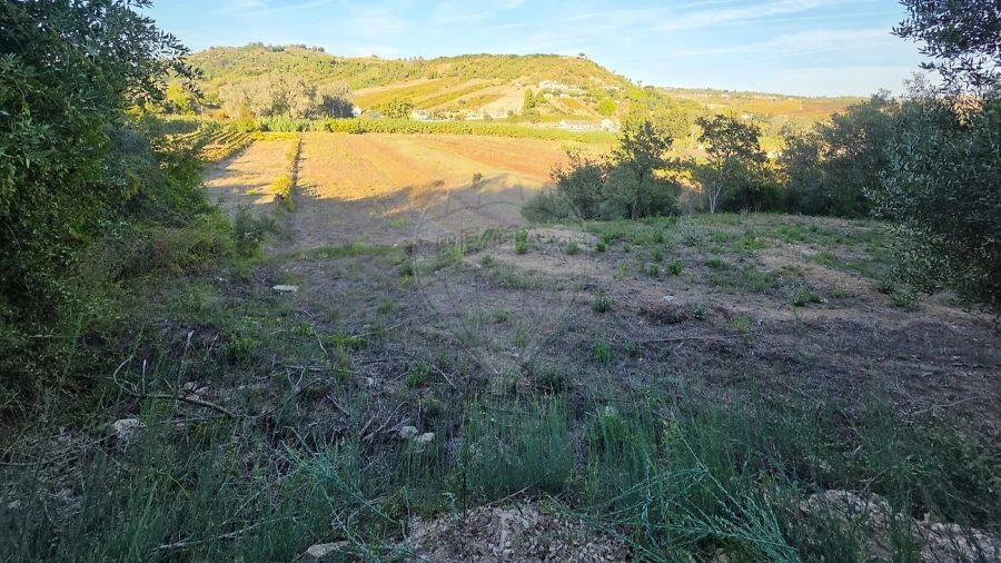 Terreno para Venda em Meca Foto 4