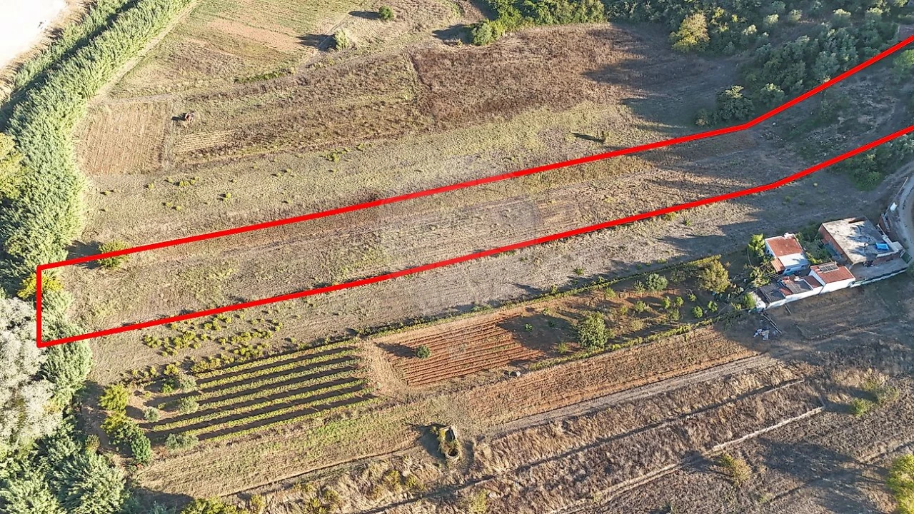 Terreno para Venda em Meca Foto 12