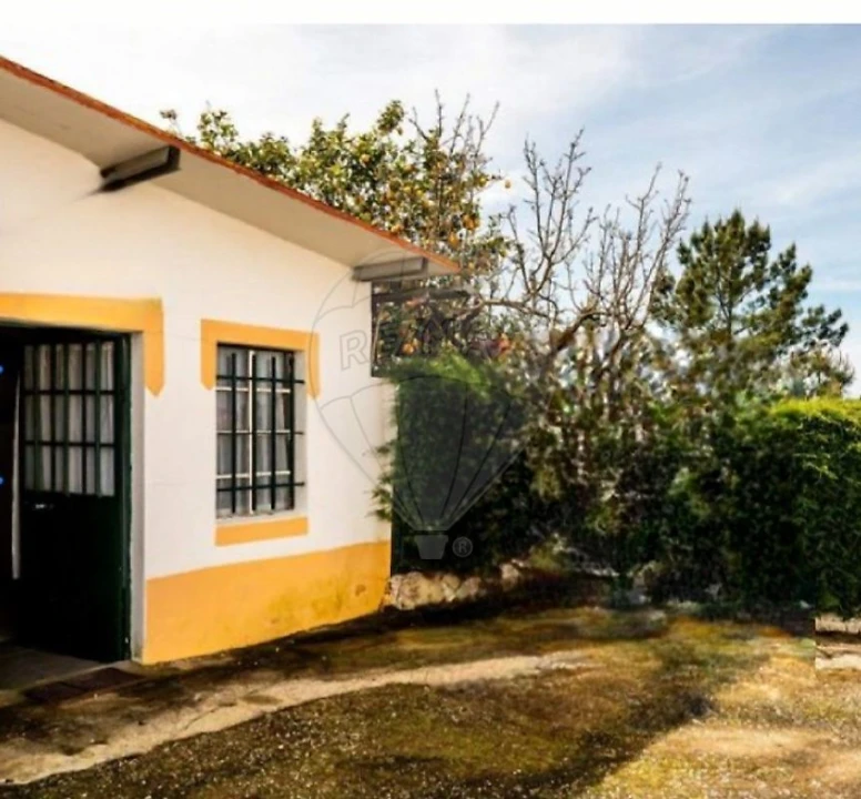 Moradia T3 para Venda em Envendos Foto 5