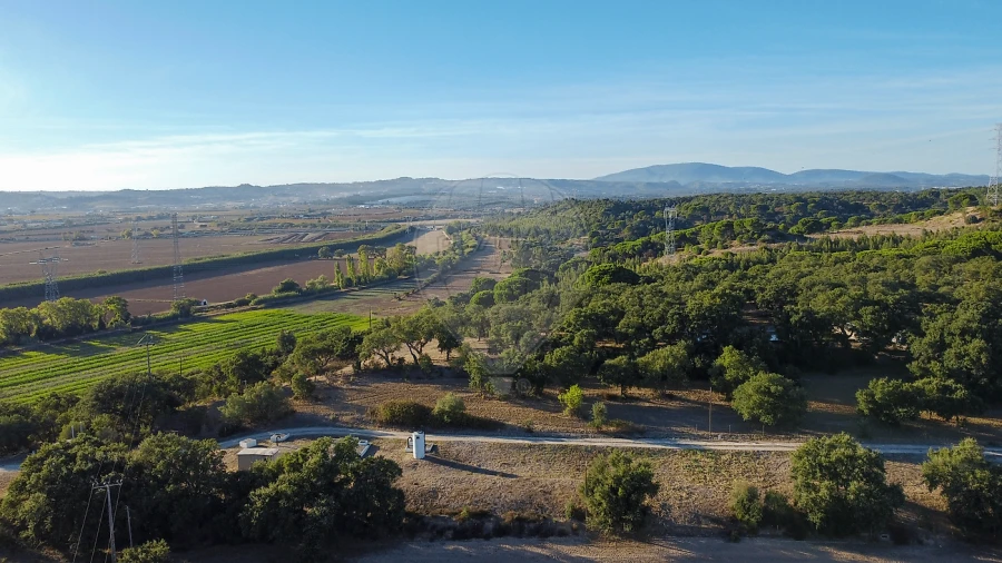 Terreno para Venda em Vila Nova da Rainha Foto 12