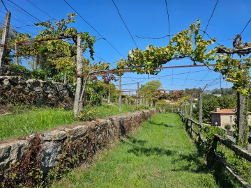 Moradia T10 para Venda em Coucieiro