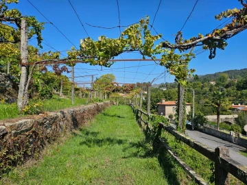 Moradia T10 para Venda em Coucieiro