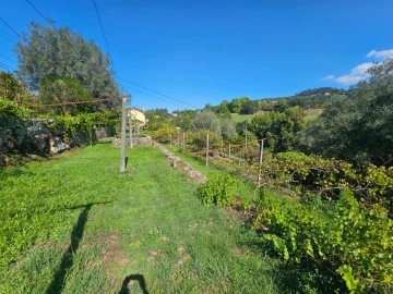 Moradia T10 para Venda em Coucieiro