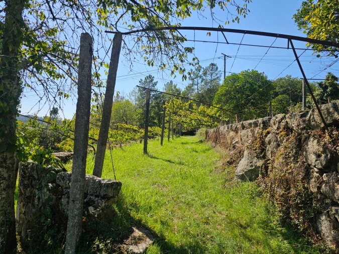 Moradia T10 para Venda em Coucieiro Foto 15