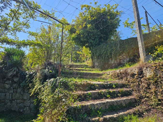 Moradia T10 para Venda em Coucieiro Foto 19