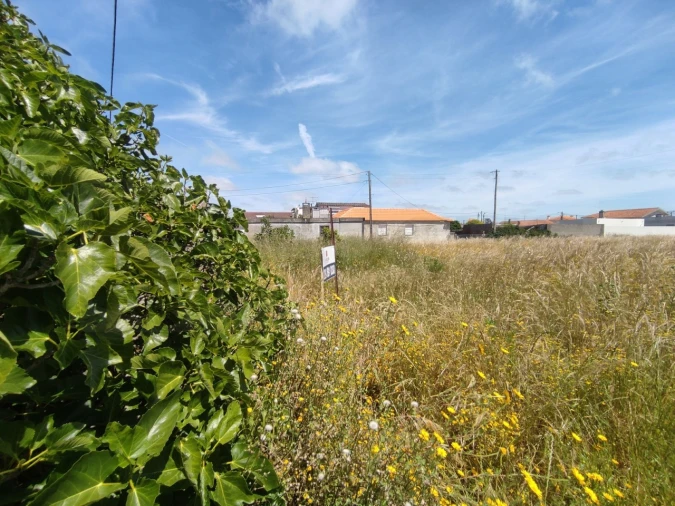 Terreno para Venda em Gafanha da Nazaré Foto 3