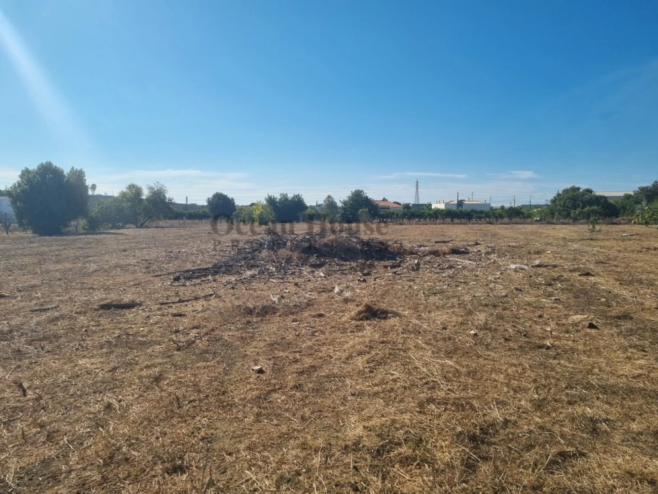 Moradia T3 para Venda em Conceição e Estoi Foto 10