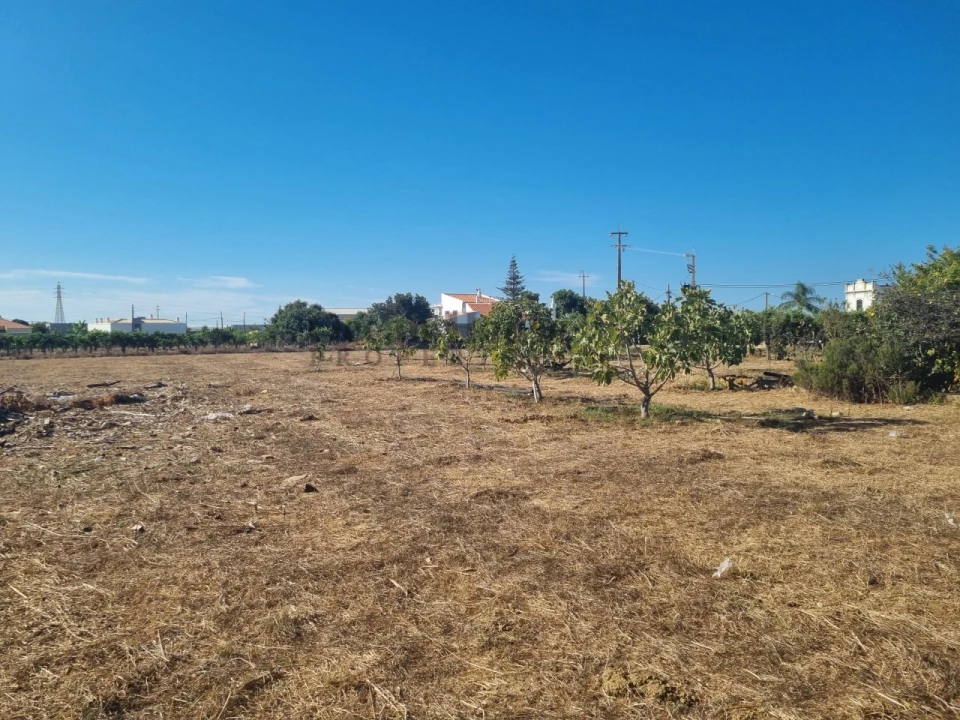 Moradia T3 para Venda em Conceição e Estoi Foto 11