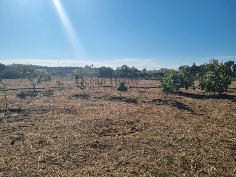 Moradia T3 para Venda em Conceição e Estoi Foto 13
