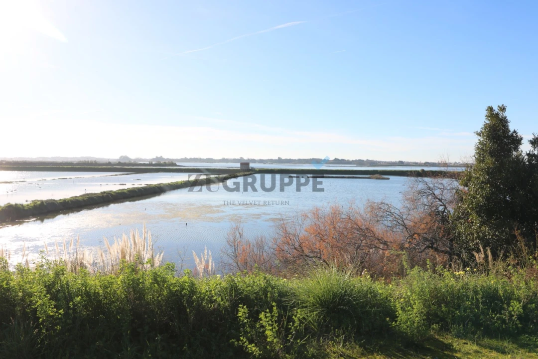 Moradia T2 para Arrendamento em Aradas Foto 18