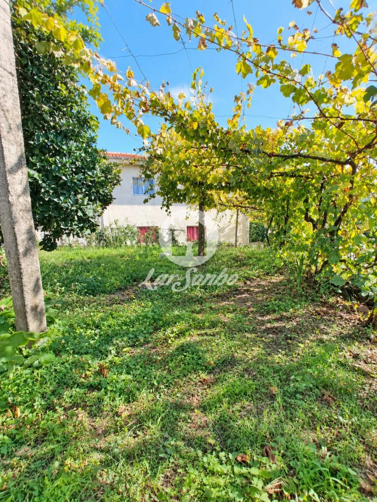 Moradia T6 para Venda em Arnoso (Santa Maria e Santa Eulália) e Sezures Foto 30