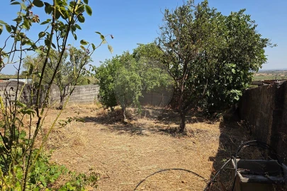 Moradia T4 para Venda em Monforte da Beira