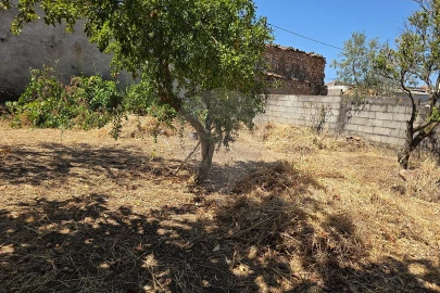 Moradia T4 para Venda em Monforte da Beira