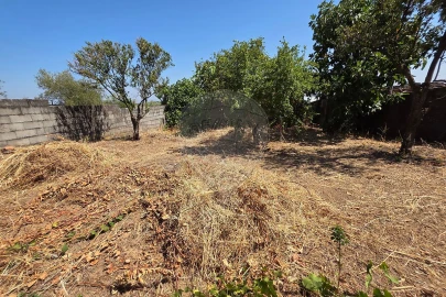 Moradia T4 para Venda em Monforte da Beira